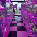 GS25함덕골든튤립 이미지