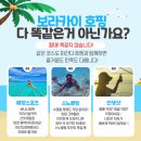 보라카이프린스 이미지