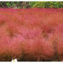 용대관광지 이미지