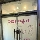 퍼피라운지 이미지