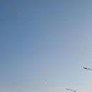 클로버 동물병원 이미지