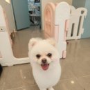 이가위미용실
