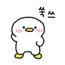 최한빛피아노학원 이미지