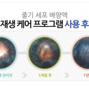 옻 안타는 천연염색 공덕점 이미지