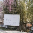법인허브팜민들레울 | 거창 남덕유산 월성계곡에 위치한 '민들레울' 방문 후기(시간,주차,애견동반)