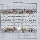 나아라 동물병원 이미지