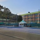 성균관대국가대표 태권도장 이미지