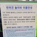 고고하개 이미지