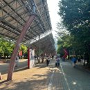 인천 SSG랜더스필드 내야패밀리존 10블럭 10번 시야 먹거리 우이락 고추튀김 국대떡볶이 후기
