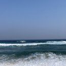 교동 감나무집 이미지