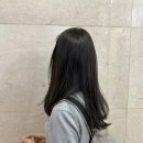 라희 | 분당 헤리안 톤다운 후기, 직장인 맞춤 매트브라운 퍼스널염색 후기 (라희 디자이너)