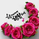 2026년 1월 29일 제956차 빛고을새즈믄산악회 정기산행안내 식장산(597n)(대전시) 이미지