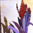 아나나스 이미지