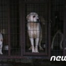 행진농장 이미지