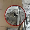 뜰에꽃화원 | 하고싶은 말이 너~무 많아