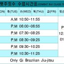 컴뱃주짓수 이미지