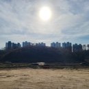 서진부동산공인중개사사무소 이미지