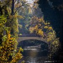 장미세탁소 | 성 가이드 투어(성 비투스 대성당, 카를교), 프라하의 베트남 현지식 쌀국수집, 스트라호프 양조장 후기