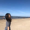 힐링 - 양구군 양구새싹로 22 | 힐링