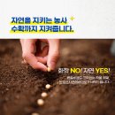 유기농재배 성공비법, 귀농 3년차 후기