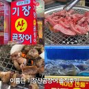 구남로41 | 해운대시장 구남로 맛집추천 이름난 기장산곰장어 40년 전통 내돈내산 할인 꿀팁