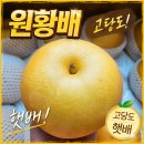 배들농장 | [풍수농장] 저탄소GAP 26년 햇배 원황배 택배로 받은 후기