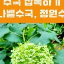 벌막공원 이미지