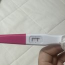 광복가든 | 임신과 계류유산, ① 태명을 지었던 날부터, 심장이 멈춘 날까지