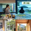 제주독채펜션돌집감성숙소돌담점 Daum카페