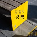 스터디로드