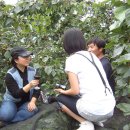 태양농장 이미지