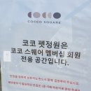 펫라운지 애견유치원 애견호텔 애견미용 이미지