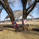 남대천L 이미지