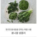 다본기획 네이버블로그