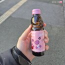 아가페 칼국수 | 25년 12월 일상 기록 레츠고