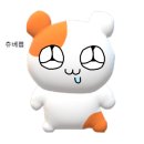 정무관정통짜장