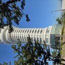 강릉 경포해변 주말 오후풍경 이미지