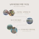 엘시아 애견풀빌라 이미지