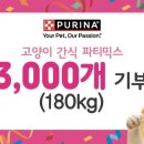 한국반려묘협회