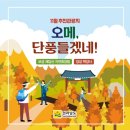 남도 11월 추천관광지 이미지