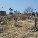 지인동물약품 이미지