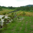 보광농장 이미지