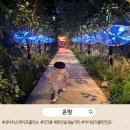 아이플러스 태권도(오산점) | 더운 날 아이들과 3시간 순삭, 네이처스케이프 플러스 다녀왔어요