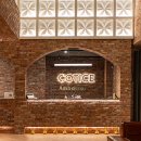 코티스 앰버서더 이미지