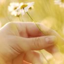 내사미지 이미지