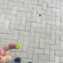 삼례도서관 내 | 없이