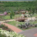 장성 꽃 화원 이미지