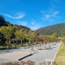 부여(외산)-1 이미지
