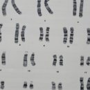 키앤키즈의원 이미지