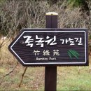 죽향1 이미지